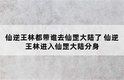 仙逆王林都带谁去仙罡大陆了 仙逆王林进入仙罡大陆分身